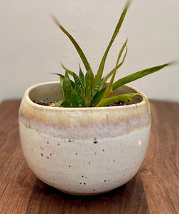 Beachy Planter