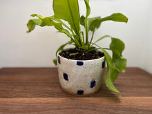 Load image into Gallery viewer, Blue/White Square Pattern Planter
