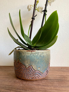 Wave Scratch Planter