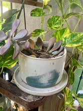 Load image into Gallery viewer, Teal Washed Planter
