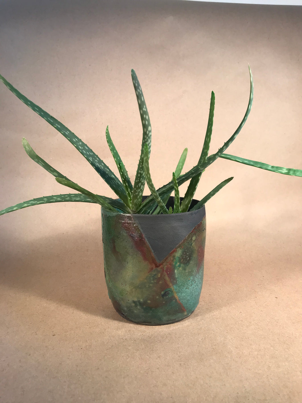 Raku Aloe Planter