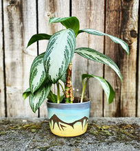 Load image into Gallery viewer, Mountain Planter
