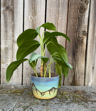 Load image into Gallery viewer, Mountain Planter
