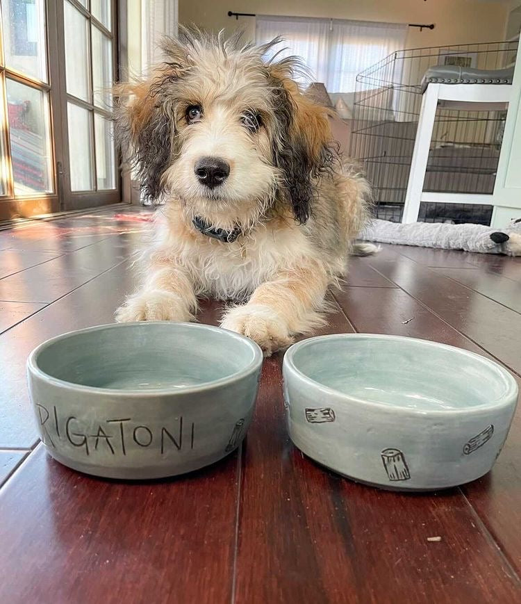 Custom Dog Bowls - Rigatoni